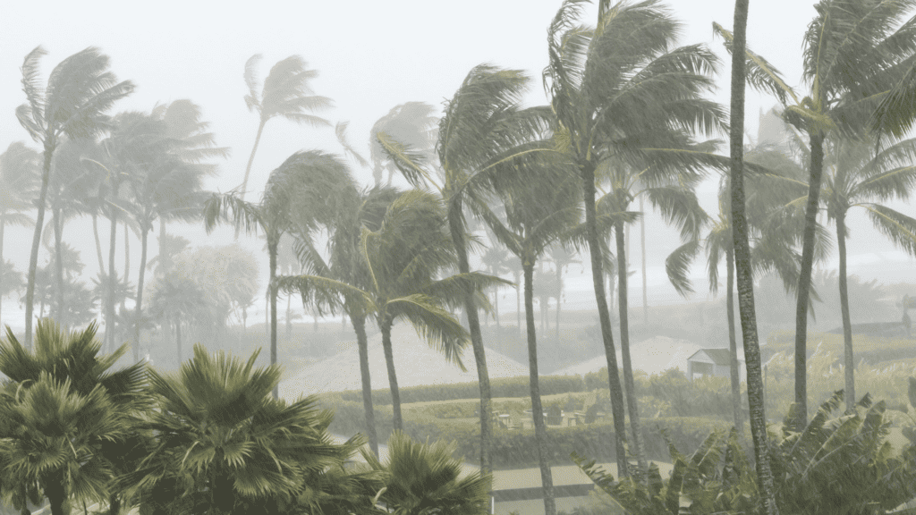 Hurricane Preparedness Checklist for Businesses | Retif Oil & Fuel